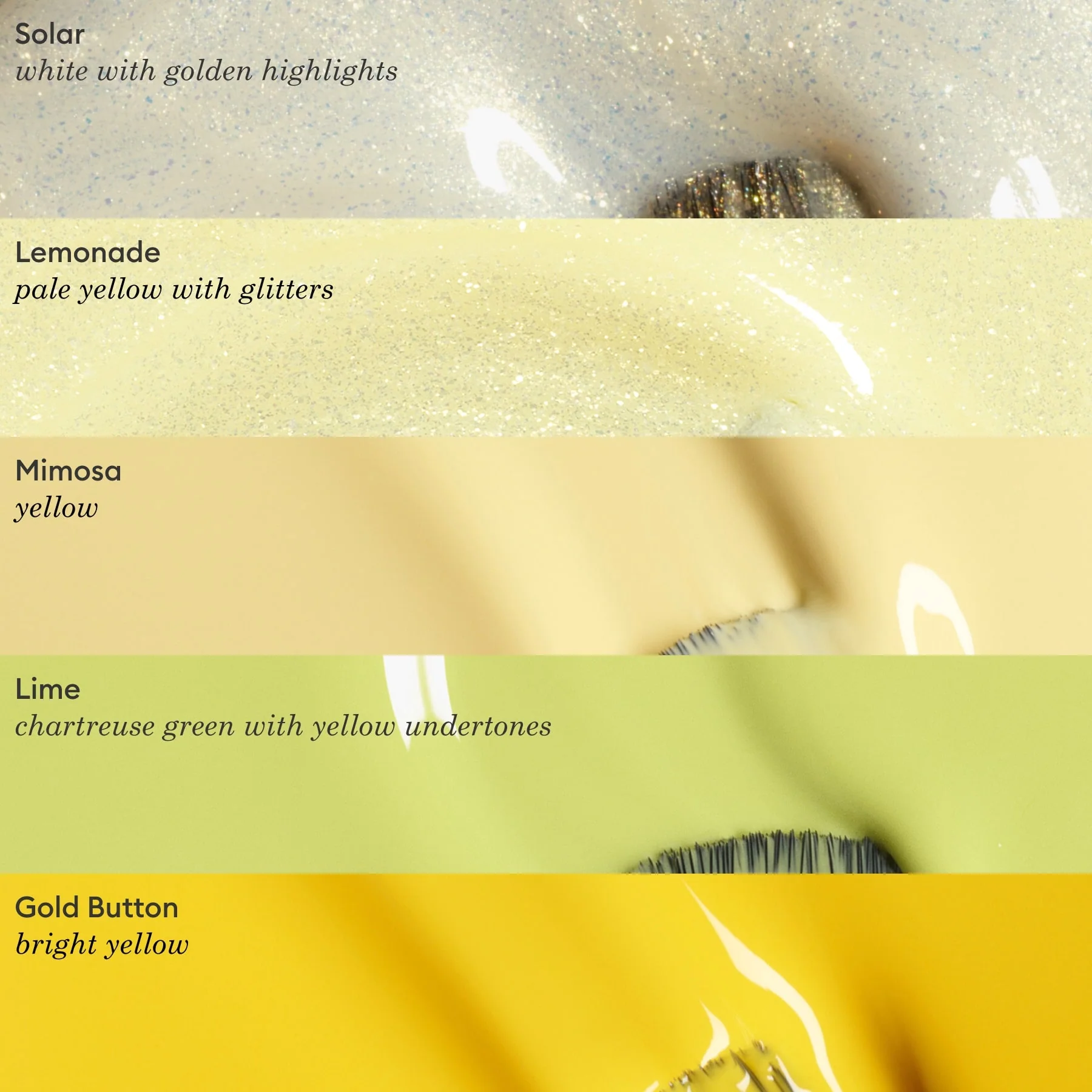 Mimosa - Image 5