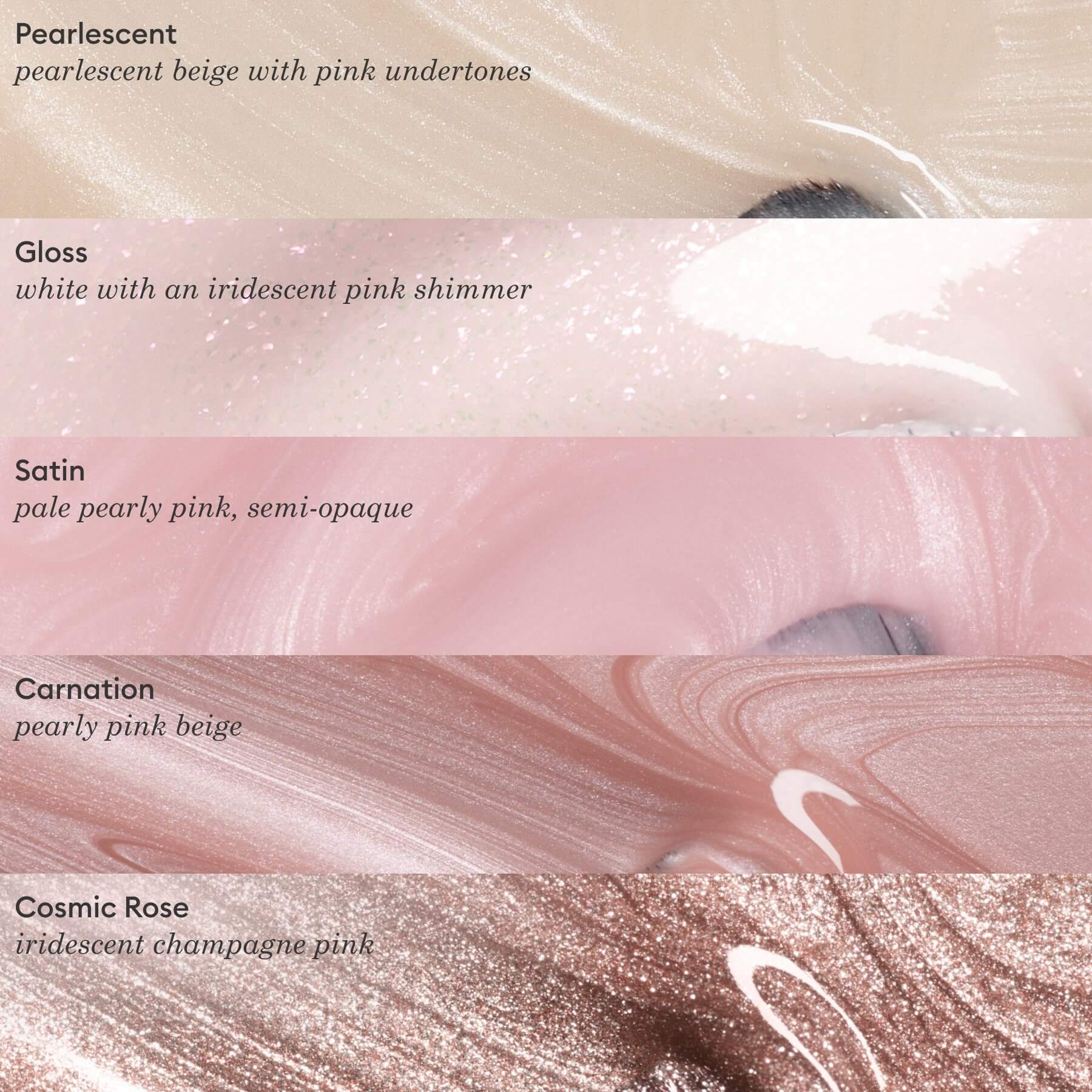 Carnation - Image 8