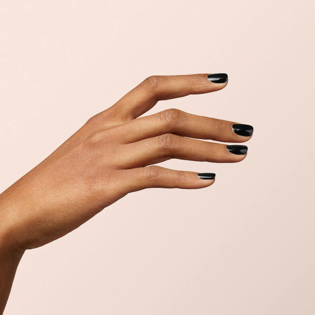 Licorice - Image 11