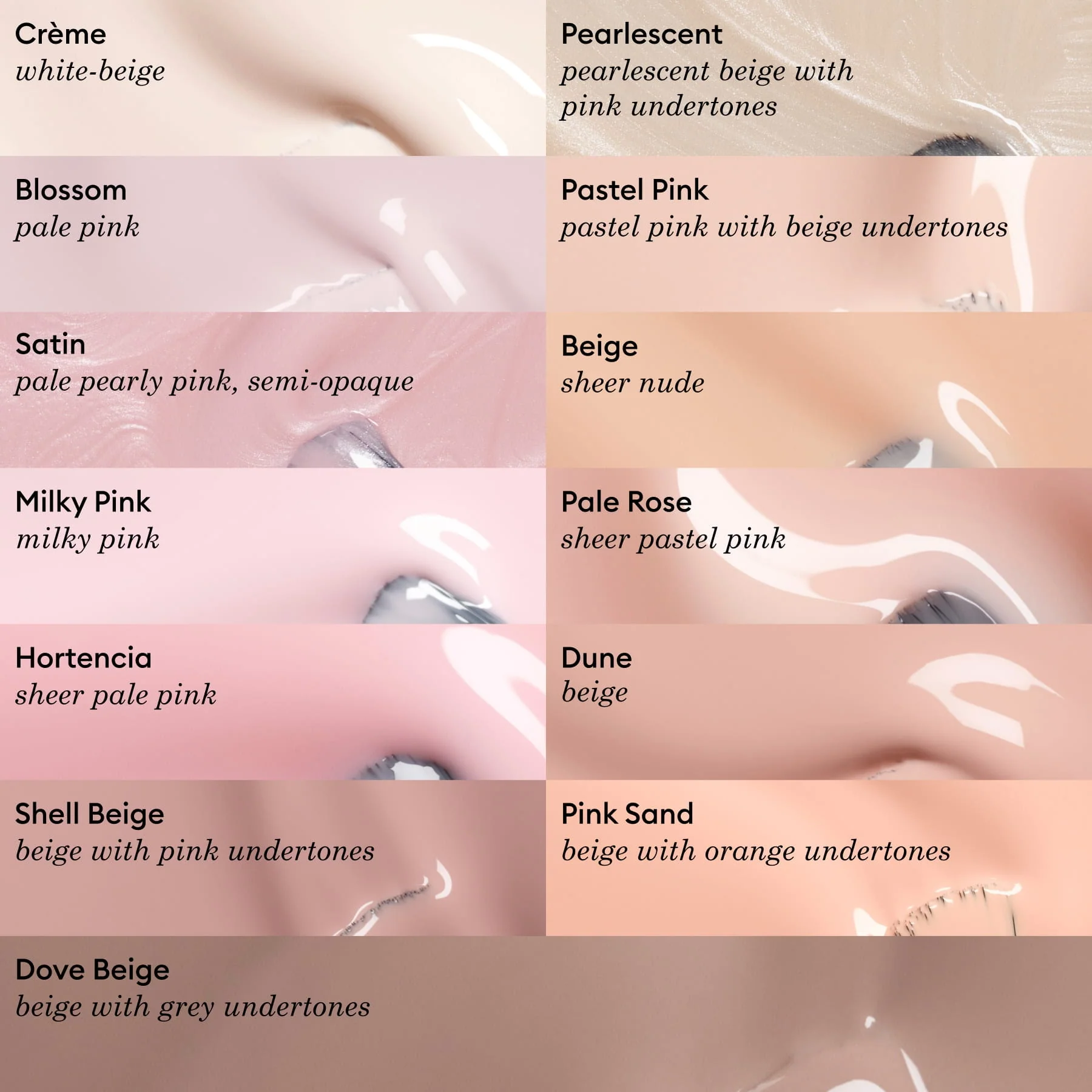 Pale Rose - Image 6