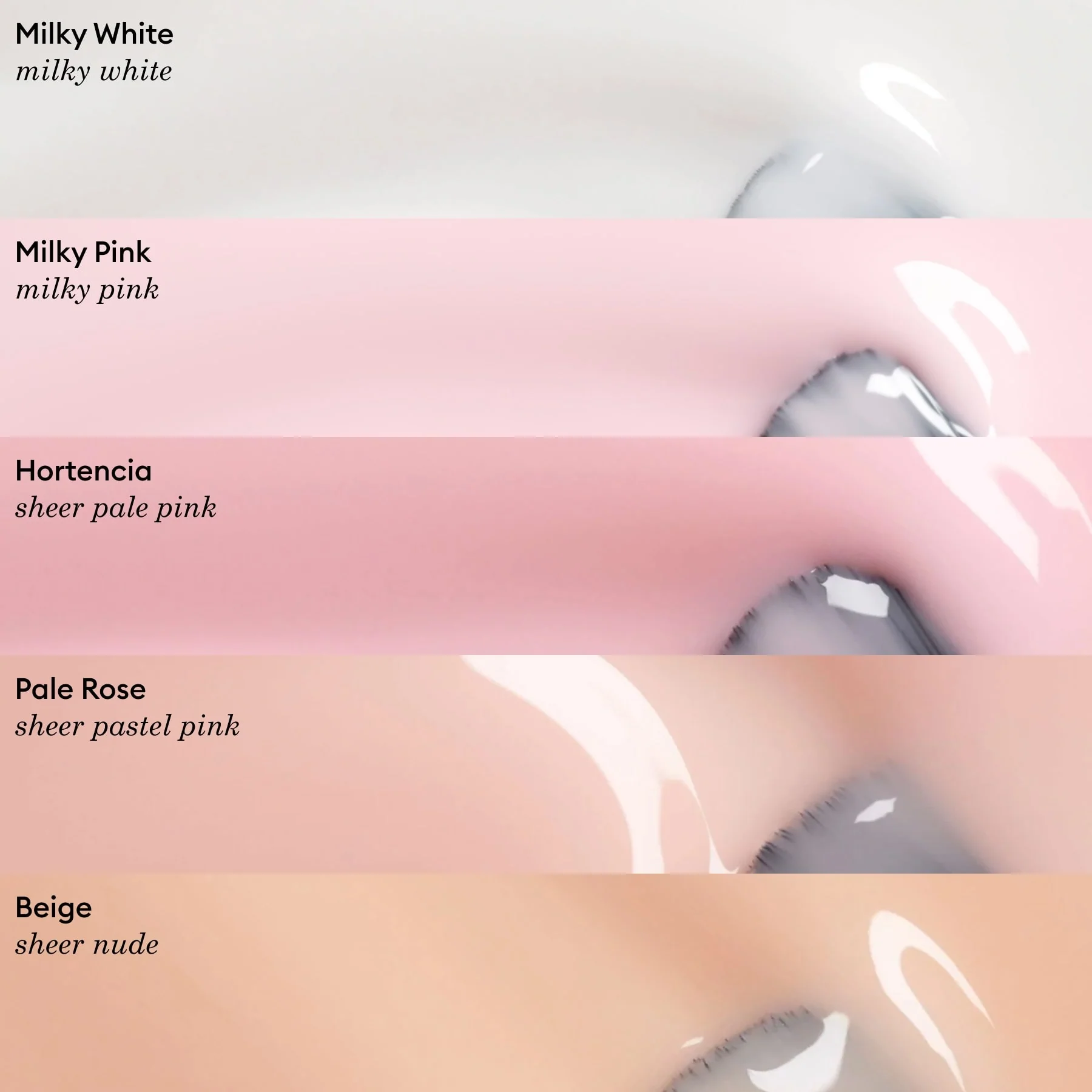 Pale Rose - Image 7